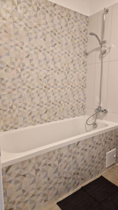 Lovely Apartment In City Center Timişoara Exterior foto